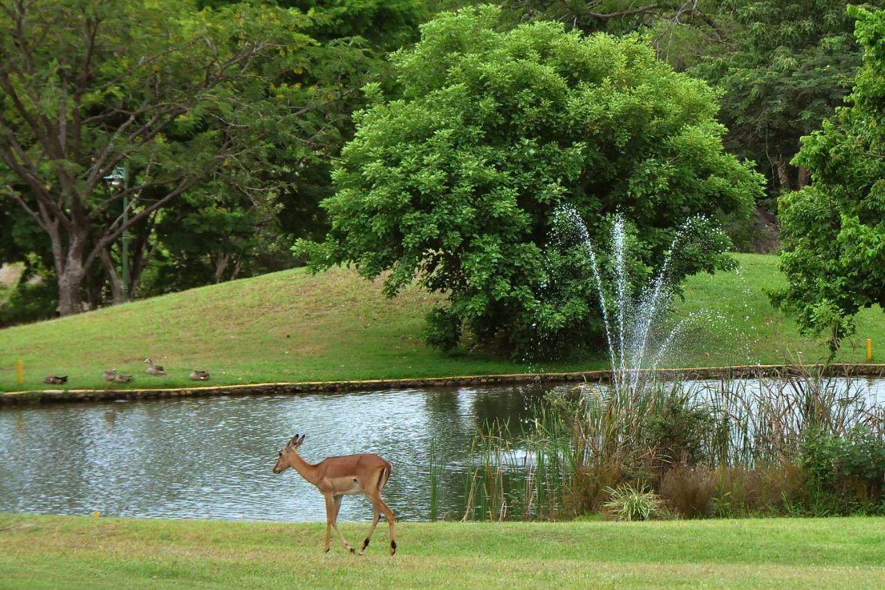 Kruger Park Lodge Unit No. 243 เฮซีวิว ภายนอก รูปภาพ